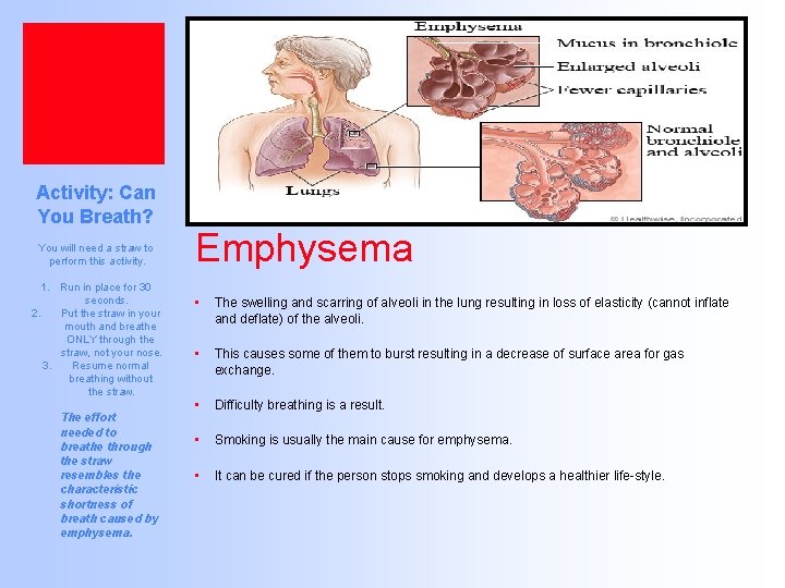 Activity: Can You Breath? You will need a straw to perform this activity. 1.