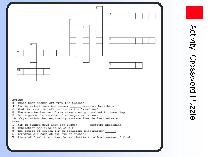 Activity: Crossword Puzzle 