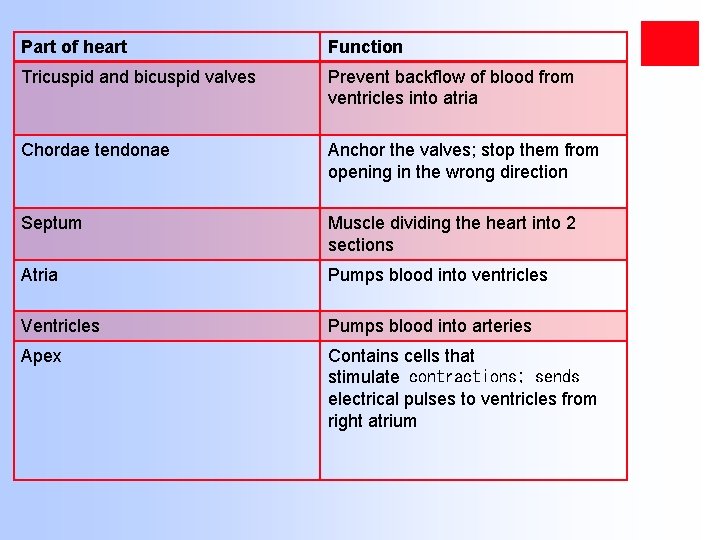Part of heart Function Tricuspid and bicuspid valves Prevent backflow of blood from ventricles