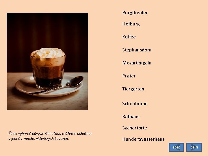 Burgtheater Hofburg Kaffee Stephansdom Mozartkugeln Prater Tiergarten Schönbrunn Rathaus Sachertorte Šálek výborné kávy se