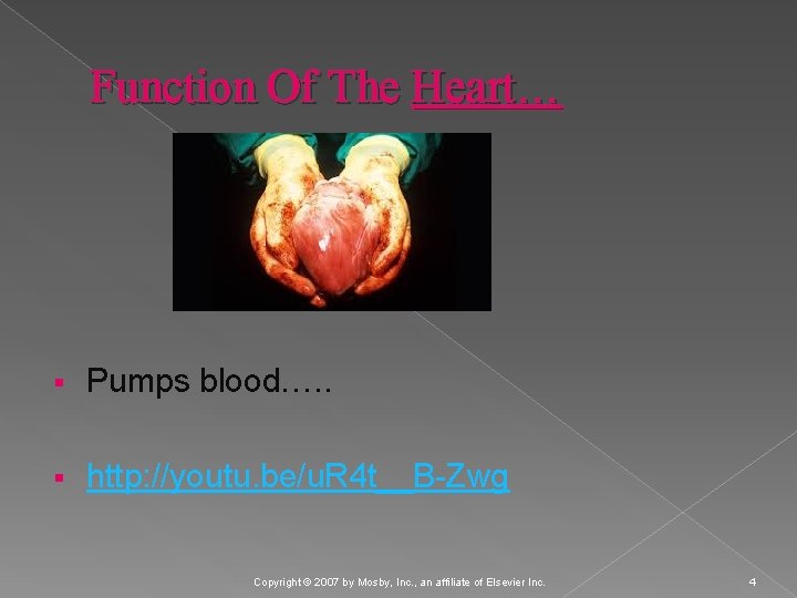 Function Of The Heart… § Pumps blood…. . § http: //youtu. be/u. R 4
