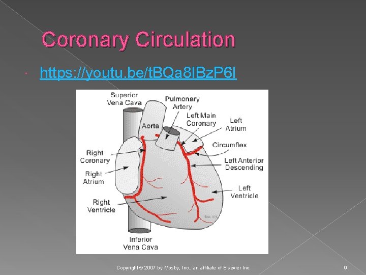 Coronary Circulation https: //youtu. be/t. BQa 8 IBz. P 6 I Copyright © 2007