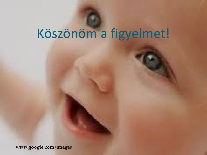 Köszönöm a figyelmet! www. google. com/images 