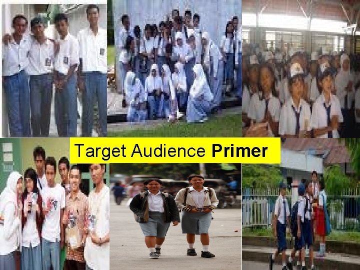 Target Audience Primer 