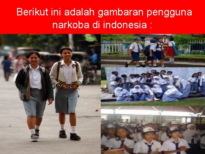 Berikut ini adalah gambaran pengguna narkoba di indonesia : 
