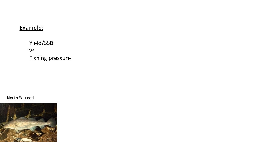 Example: Yield/SSB vs Fishing pressure North Sea cod 