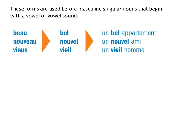 These forms are used before masculine singular nouns that begin with a vowel or