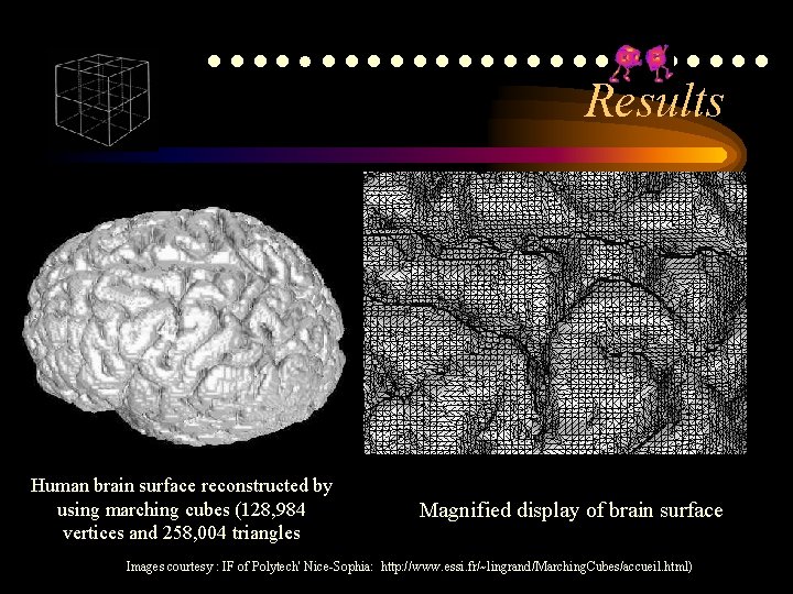 ●●●●●●●●●●●●● Results Human brain surface reconstructed by using marching cubes (128, 984 vertices and ●●●●●●●●●●●●● Results Human brain surface reconstructed by using marching cubes (128, 984 vertices and