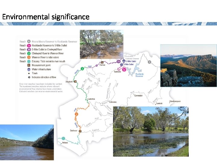 Environmental significance 