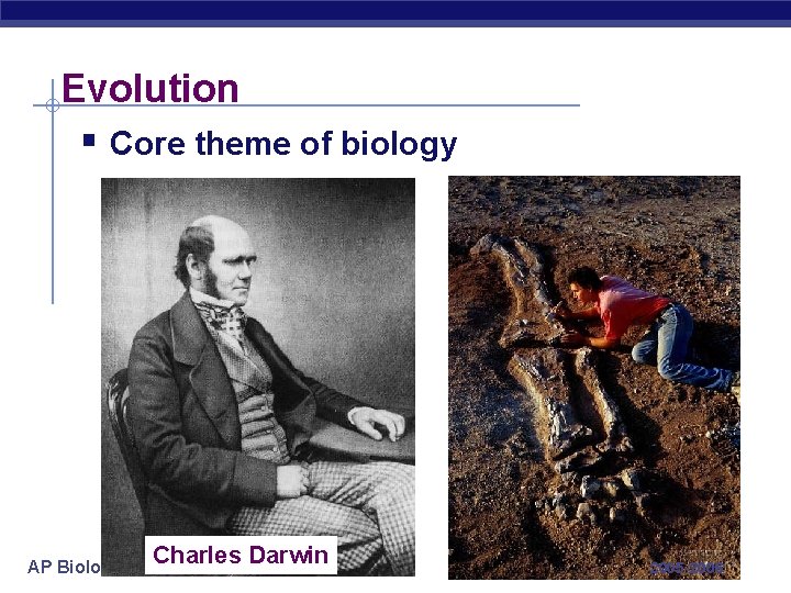Evolution § Core theme of biology AP Biology Charles Darwin 2005 -2006 