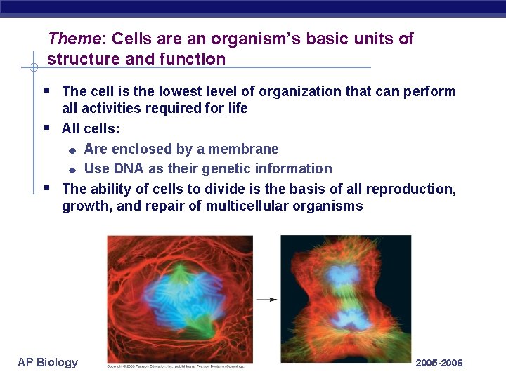 Theme: Cells are an organism’s basic units of structure and function § The cell