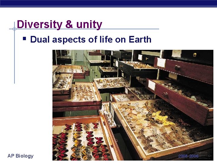 Diversity & unity § Dual aspects of life on Earth AP Biology 2005 -2006