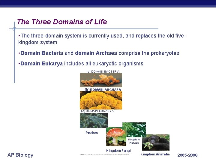 The Three Domains of Life • The three-domain system is currently used, and replaces