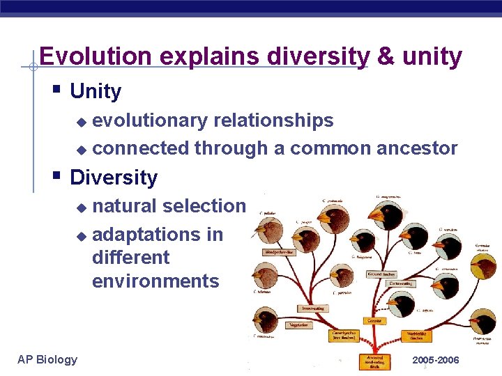 Evolution explains diversity & unity § Unity evolutionary relationships u connected through a common