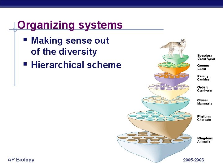 Organizing systems § Making sense out § of the diversity Hierarchical scheme AP Biology