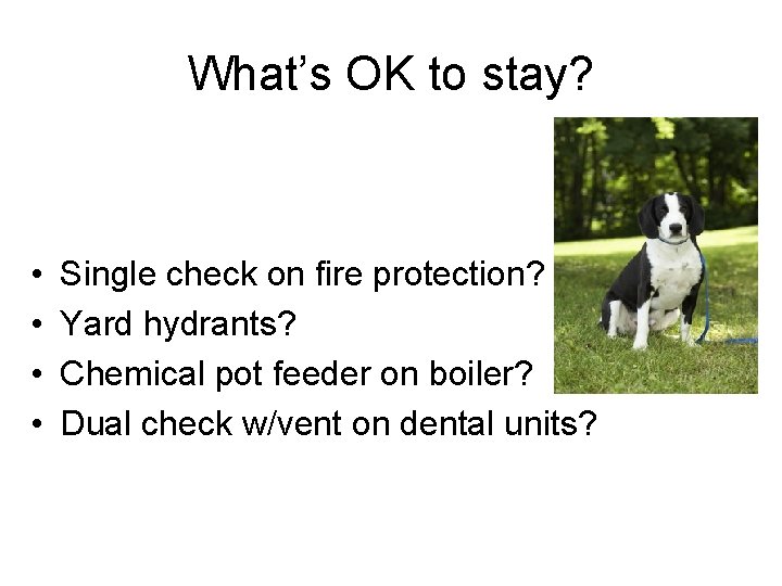 What’s OK to stay? • • Single check on fire protection? Yard hydrants? Chemical