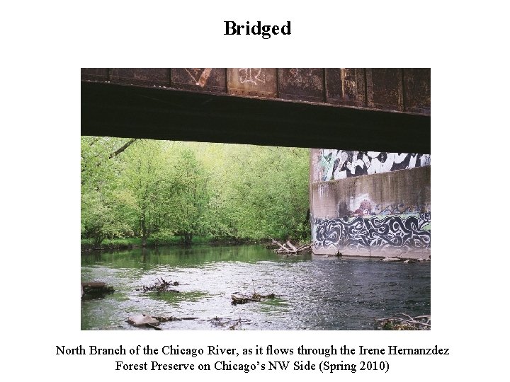 Bridged North Branch of the Chicago River, as it flows through the Irene Hernanzdez Bridged North Branch of the Chicago River, as it flows through the Irene Hernanzdez