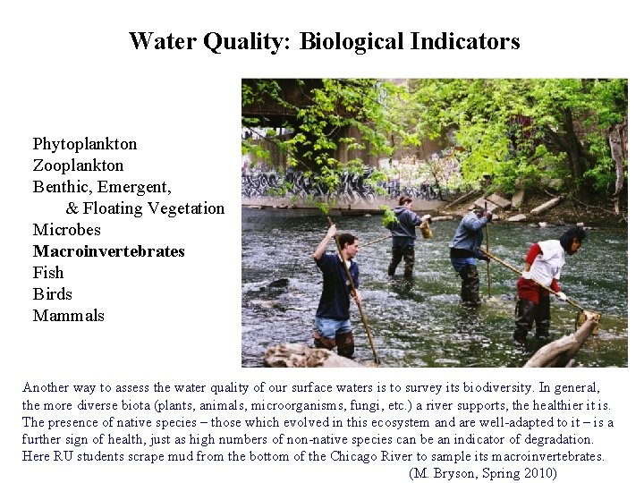 Water Quality: Biological Indicators Phytoplankton Zooplankton Benthic, Emergent, & Floating Vegetation Microbes Macroinvertebrates Fish Water Quality: Biological Indicators Phytoplankton Zooplankton Benthic, Emergent, & Floating Vegetation Microbes Macroinvertebrates Fish