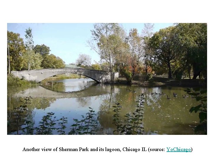 Another view of Sherman Park and its lagoon, Chicago IL (source: Yo. Chicago) Another view of Sherman Park and its lagoon, Chicago IL (source: Yo. Chicago)