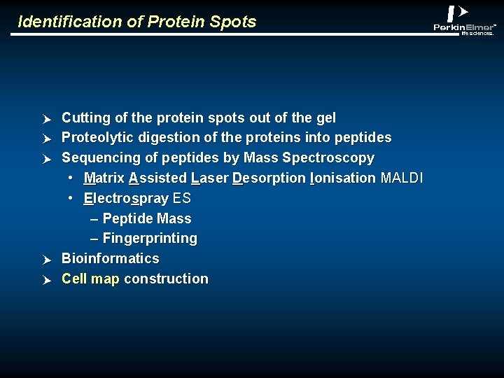 Identification of Protein Spots p p p Cutting of the protein spots out of