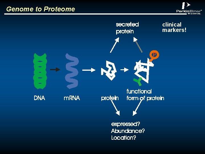 Genome to Proteome abclt clinical markers! 