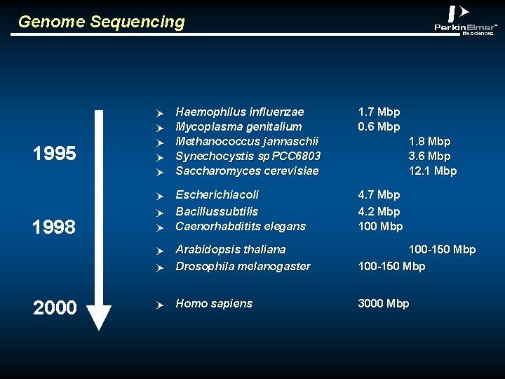 abclt Genome Sequencing Haemophilus influenzae Mycoplasma genitalium Methanococcus jannaschii Synechocystis sp. PCC 6803 Saccharomyces