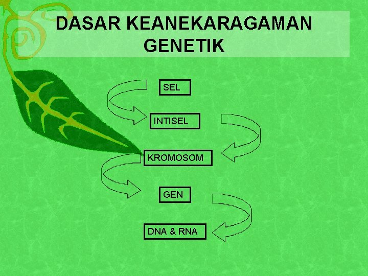 DASAR KEANEKARAGAMAN GENETIK SEL INTISEL KROMOSOM GEN DNA & RNA 