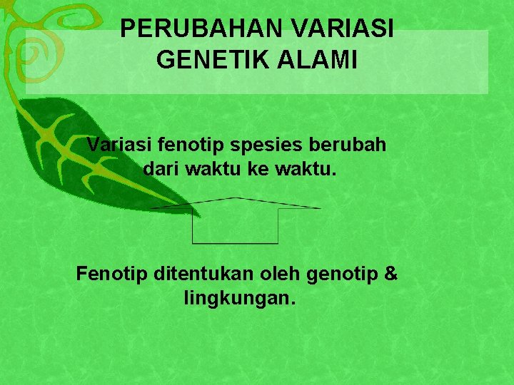 PERUBAHAN VARIASI GENETIK ALAMI Variasi fenotip spesies berubah dari waktu ke waktu. Fenotip ditentukan