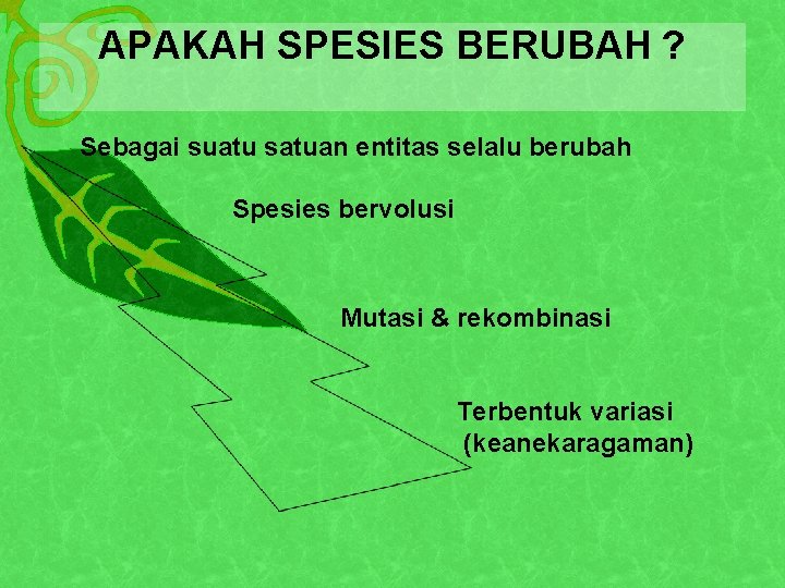 APAKAH SPESIES BERUBAH ? Sebagai suatu satuan entitas selalu berubah Spesies bervolusi Mutasi &