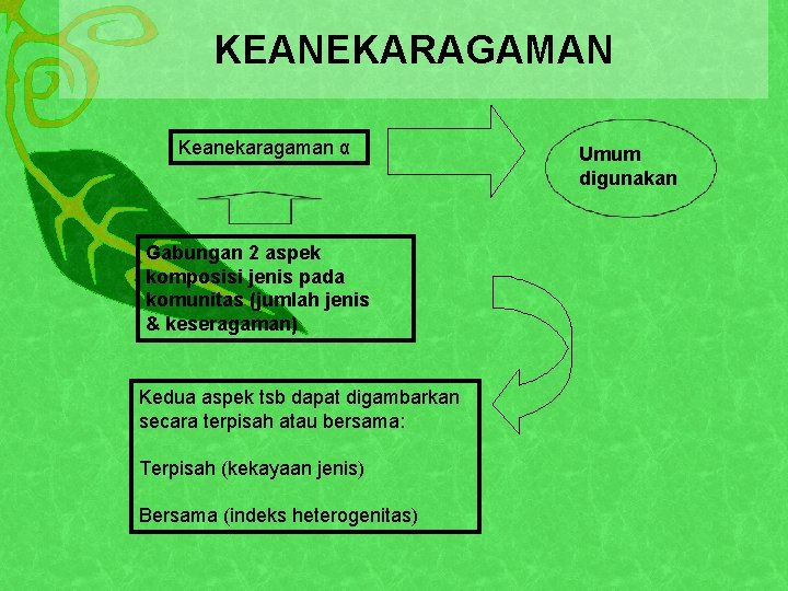 KEANEKARAGAMAN Keanekaragaman α Gabungan 2 aspek komposisi jenis pada komunitas (jumlah jenis & keseragaman)