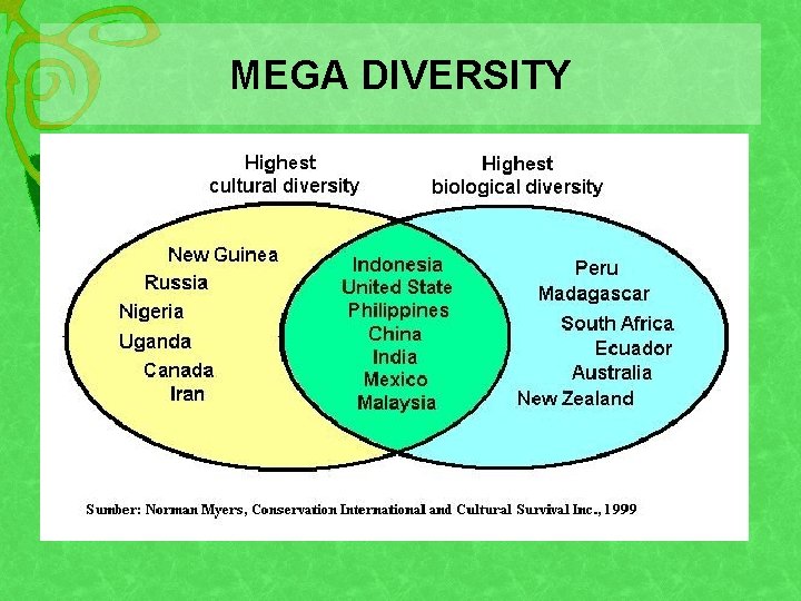 MEGA DIVERSITY 