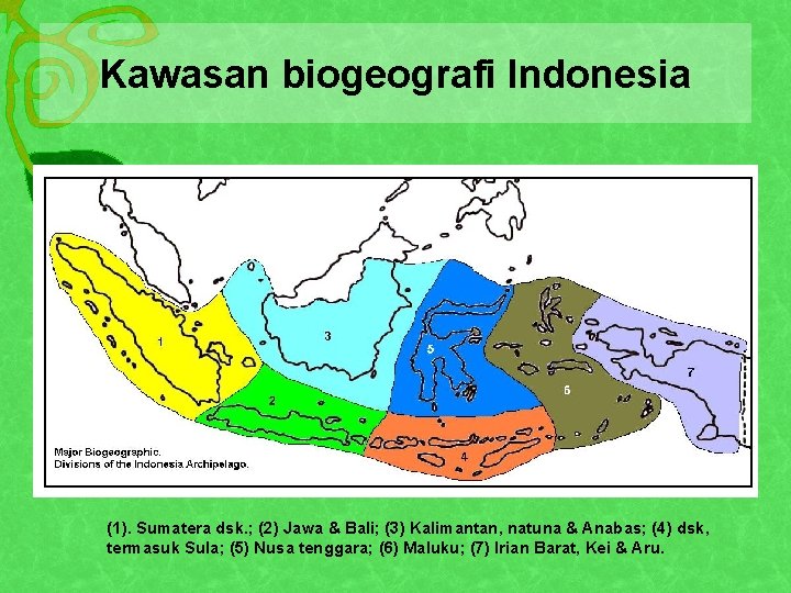 Kawasan biogeografi Indonesia (1). Sumatera dsk. ; (2) Jawa & Bali; (3) Kalimantan, natuna