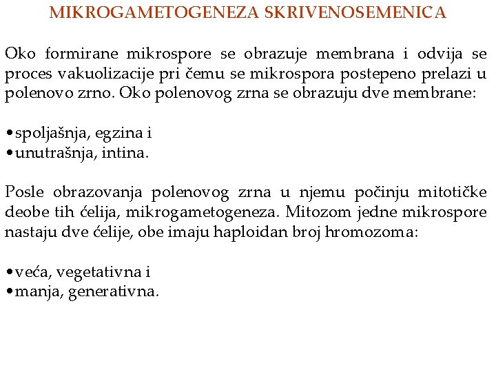 MIKROGAMETOGENEZA SKRIVENOSEMENICA Oko formirane mikrospore se obrazuje membrana i odvija se proces vakuolizacije pri