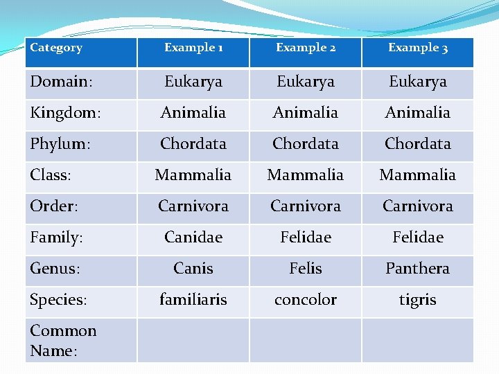 Category Example 1 Example 2 Example 3 Domain: Eukarya Kingdom: Animalia Phylum: Chordata Class: