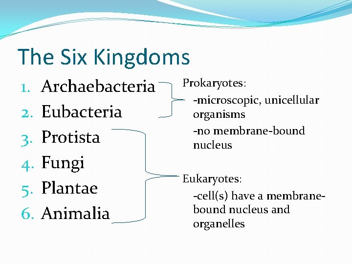 The Six Kingdoms 1. 2. 3. 4. 5. 6. Archaebacteria Eubacteria Protista Fungi Plantae