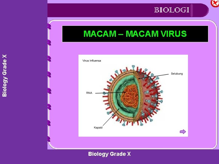 Beranda MACAM – MACAM VIRUS Biology Grade X SK-KD Indikator Materi Latihan Soal Uji