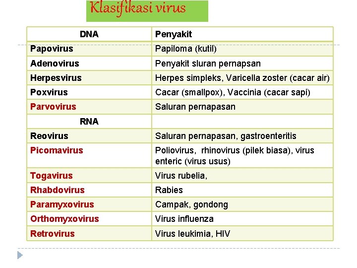 Klasifikasi virus DNA Penyakit Papovirus Papiloma (kutil) Adenovirus Penyakit sluran pernapsan Herpesvirus Herpes simpleks,