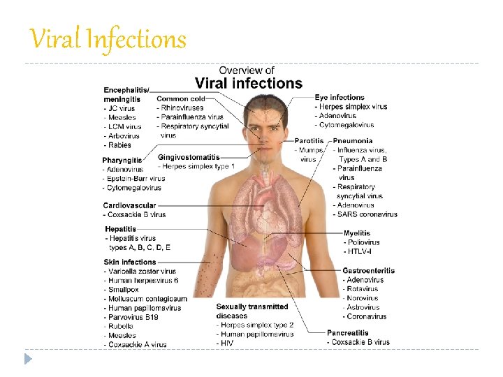 Viral Infections 