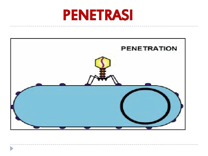 PENETRASI 