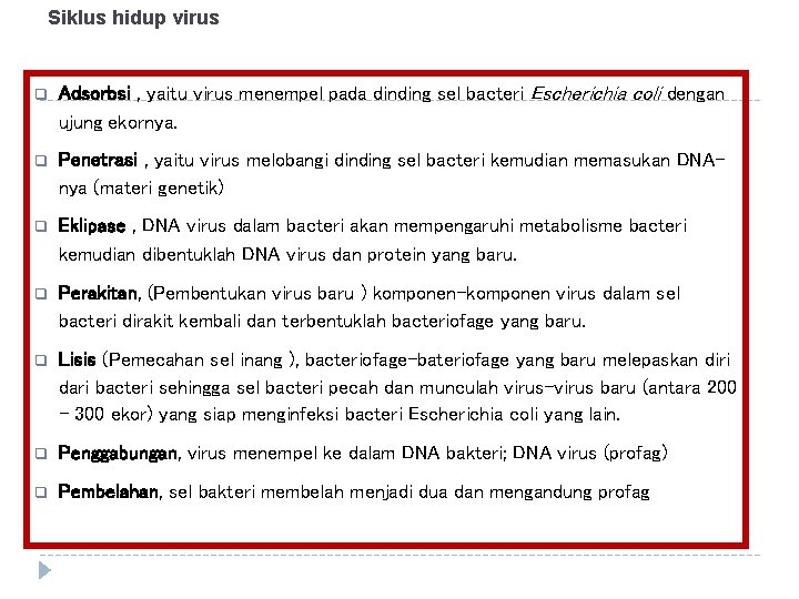 Siklus hidup virus q Adsorbsi , yaitu virus menempel pada dinding sel bacteri Escherichia