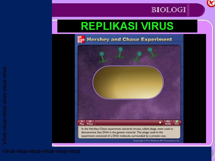 Beranda REPLIKASI VIRUS SK-KD Virus-virus-virus-virus Indikator Materi Latihan Soal Uji Kompetensi Referensi Penyusun Virus-virus-virus-virus
