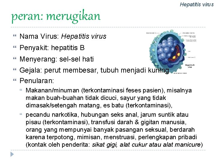 Hepatitis virus peran: merugikan Nama Virus: Hepatitis virus Penyakit: hepatitis B Menyerang: sel-sel hati