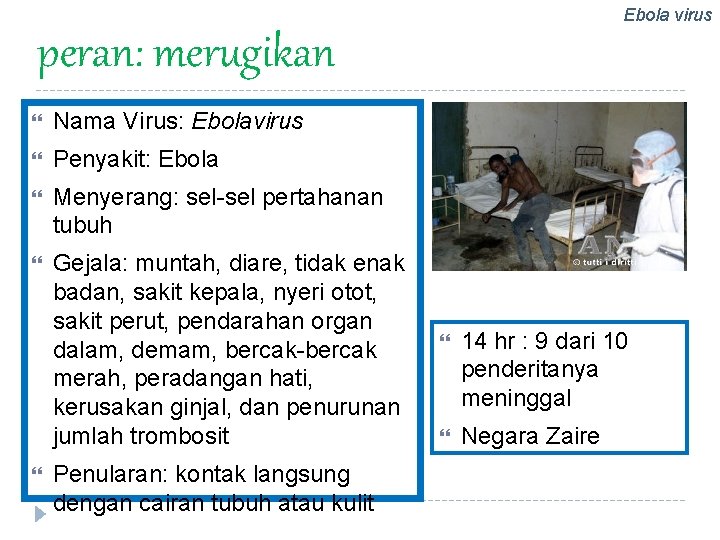 Ebola virus peran: merugikan Nama Virus: Ebolavirus Penyakit: Ebola Menyerang: sel-sel pertahanan tubuh Gejala: