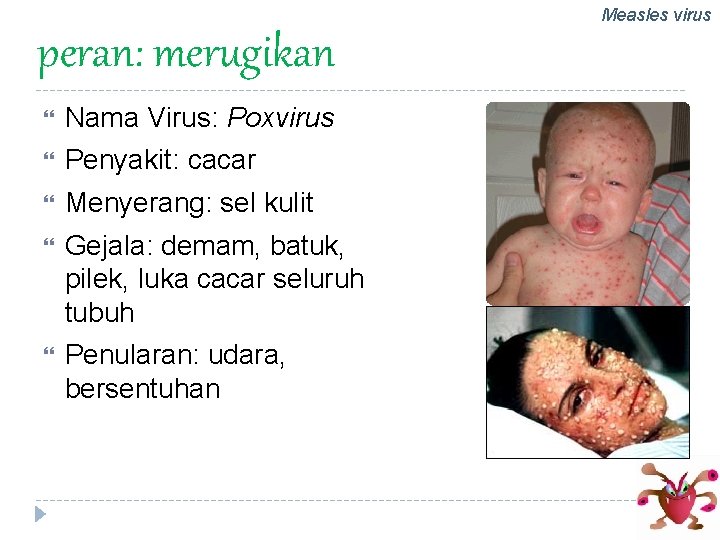 Measles virus peran: merugikan Nama Virus: Poxvirus Penyakit: cacar Menyerang: sel kulit Gejala: demam,