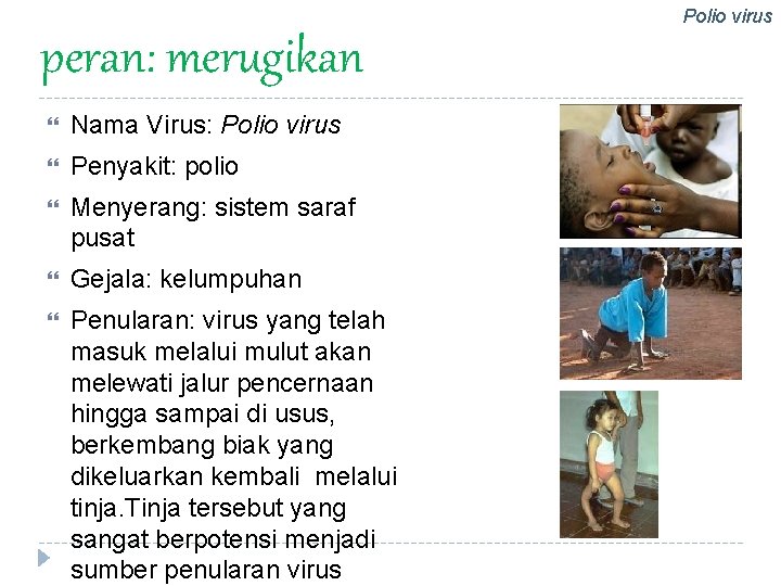 Polio virus peran: merugikan Nama Virus: Polio virus Penyakit: polio Menyerang: sistem saraf pusat