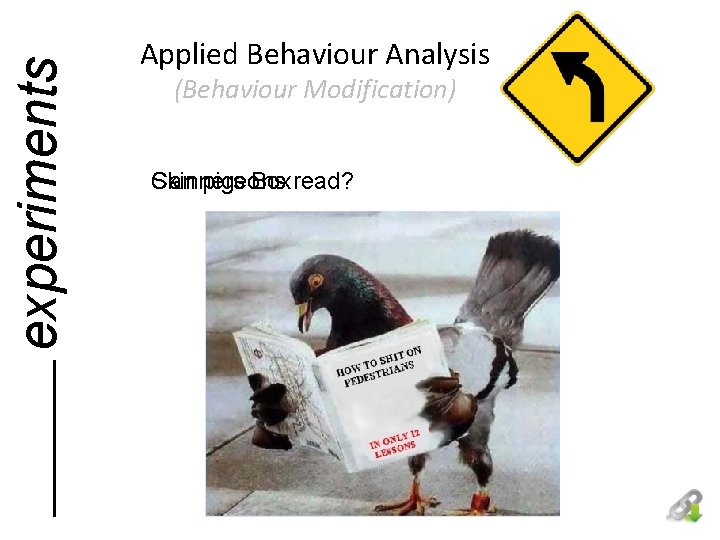 experiments Applied Behaviour Analysis (Behaviour Modification) Can pigeons Skinners Boxread? 