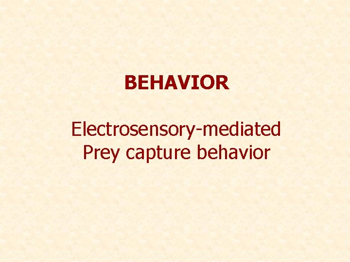 BEHAVIOR Electrosensory-mediated Prey capture behavior 