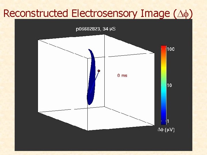 Reconstructed Electrosensory Image (Df) 