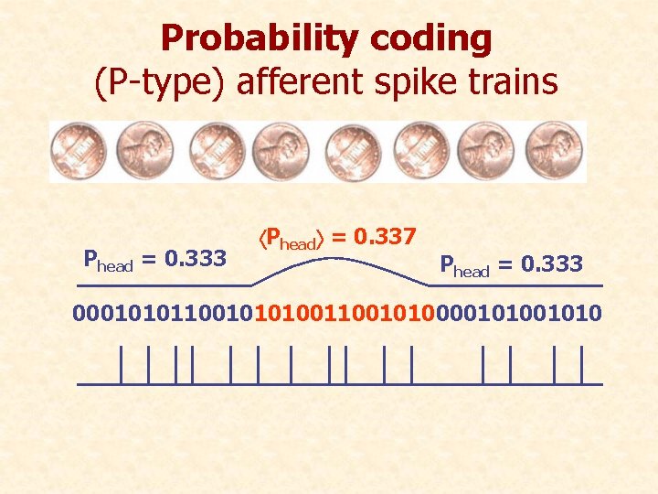 Probability coding (P-type) afferent spike trains Phead = 0. 333 Phead = 0. 337