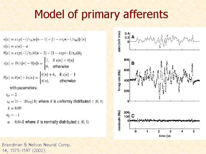 Model of primary afferents Brandman & Nelson Neural Comp. 14, 1575 -1597 (2002) 